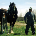 Ontario Breeders Production Sale - Bev Watson with one of his broadmares