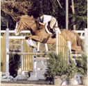 Ontario Breeders Production Sale - Jodie Bowen aboard The Bureau County Kid