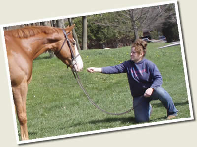 Don't miss this Ontario Breeders Production Sale!
