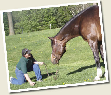 Don't miss this Ontario Breeders Production Sale!